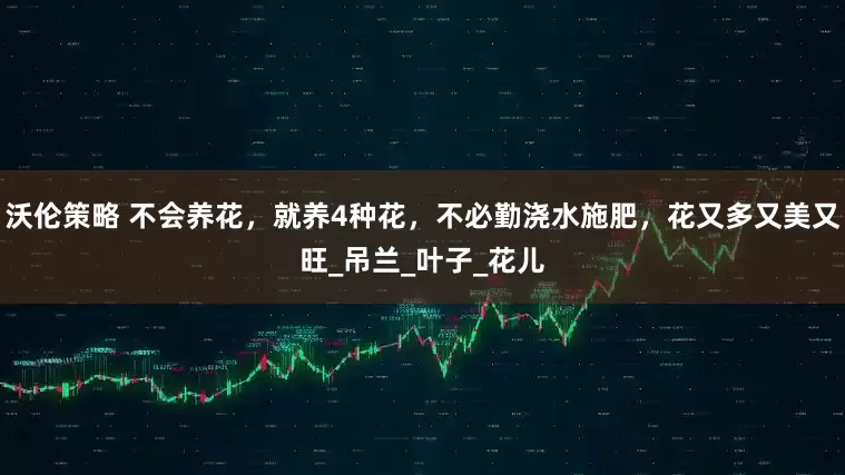 沃伦策略 不会养花，就养4种花，不必勤浇水施肥，花又多又美又旺_吊兰_叶子_花儿