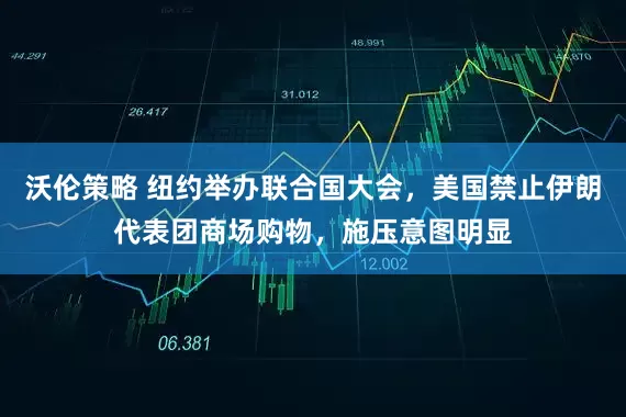 沃伦策略 纽约举办联合国大会，美国禁止伊朗代表团商场购物，施压意图明显
