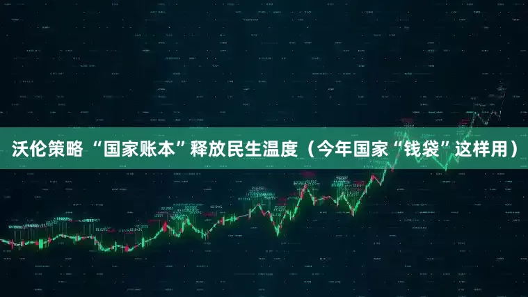 沃伦策略 “国家账本”释放民生温度（今年国家“钱袋”这样用）