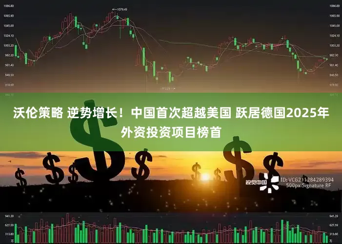 沃伦策略 逆势增长！中国首次超越美国 跃居德国2025年外资投资项目榜首